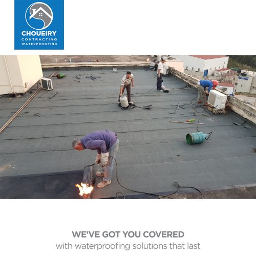 272683361_3153747231538466_1864382367785762324_n