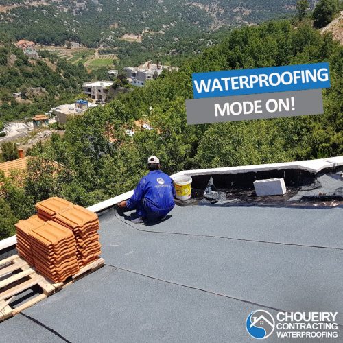 51791371_2293073334272531_6735487903952011264_n