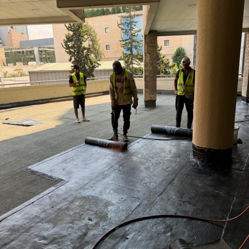 WhatsApp Image 2025-01-14 at 08.19.33_2e604523