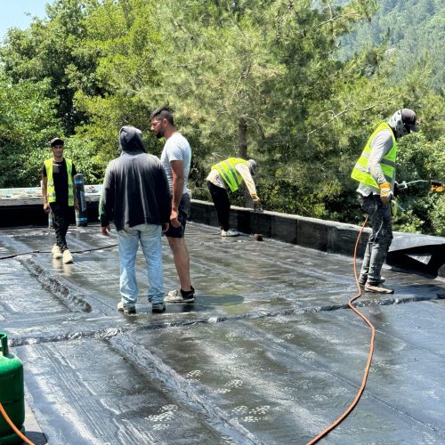 WhatsApp Image 2025-01-14 at 09.06.17_59cdf4bf